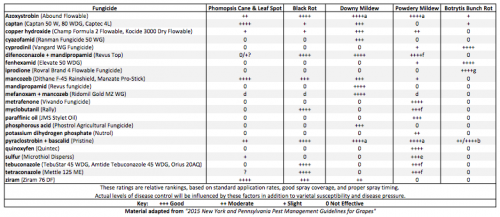 Fungicide Chart